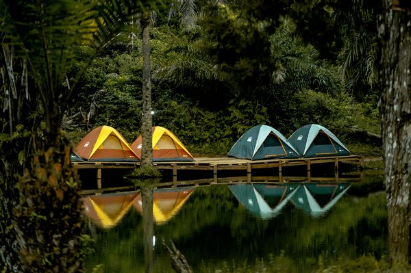 Comment vivre une expérience de camping de luxe en Afrique du Sud?